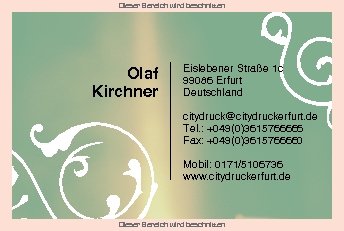 Visitenkarten Euroformat