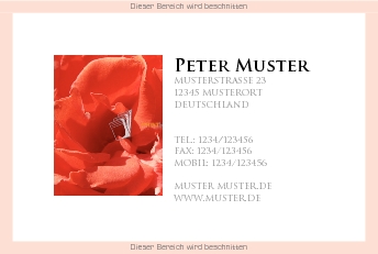 Visitenkarten Euroformat